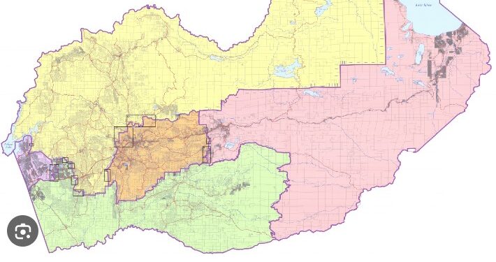 Initial results El Dorado County Board of Supervisor seats