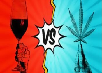 Water Wars: Dispelling Myths Surrounding Cannabis and Grape Water Usage in Somerset