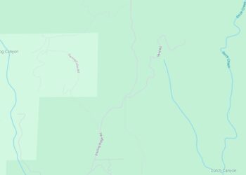 Mountain Lion Attack Claims Life of One Brother