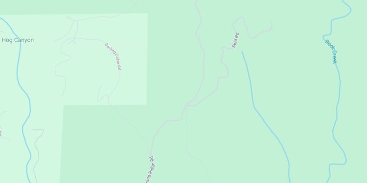 Mountain Lion Attack Claims Life of One Brother