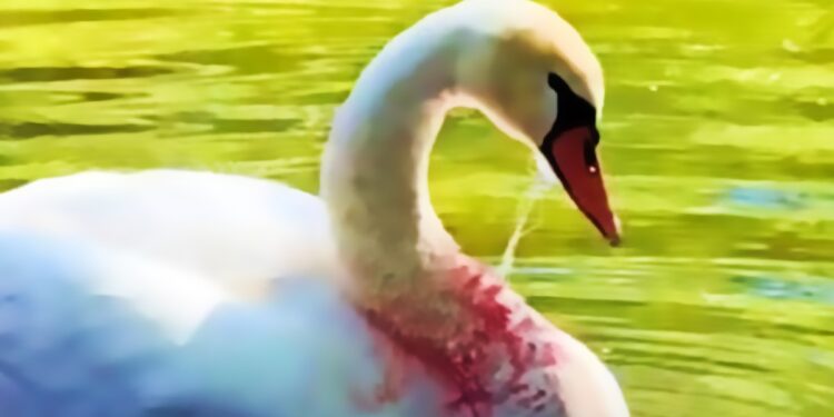 Unraveling the Threads of Negligence: The Fishing Line Fiasco Threatening Wildlife