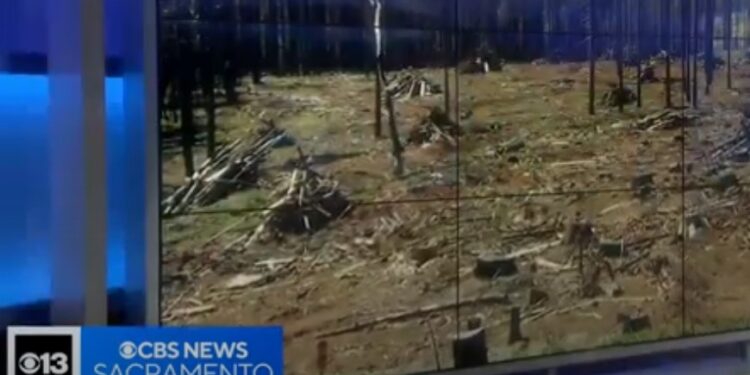 El Dorado County Greenlights Tiny Homes for Grizzly Flats Rebuilding Efforts