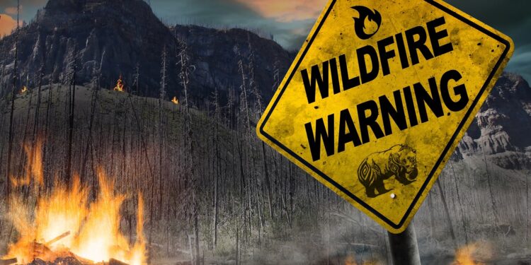 Three Years After the Caldor Fire: The Struggle to Rebuild Continues