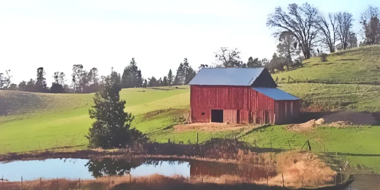Clear Skies, Light Winds, and Showers: A Week of Varied Weather for Motherlode