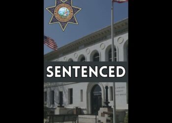 Impaired Driver Who Killed Boyfriend Sentenced to 10 Years in State Prison