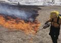 Eldorado National Forest Begins 2024 Prescribed Burn Program