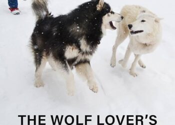 South Lake Tahoe Author’s New Book Tops Amazon Charts