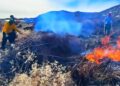 Washoe Tribe Revives Cultural Burning to Restore Forests and Heritage