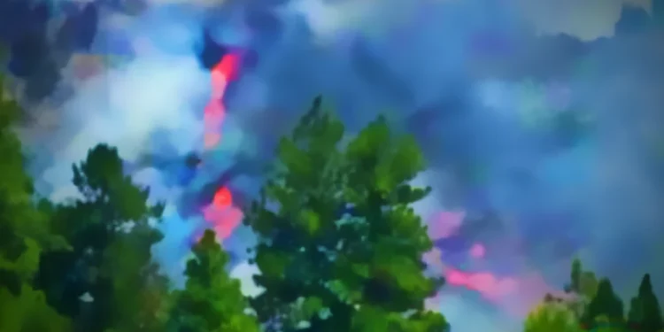 Arsonist Jason Robinette Convicted for Starting Crozier Fire near Placerville