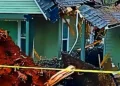 Tree Falls on Pollock Pines Home, Displacing Family