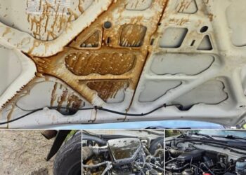 Sellers Beware: Scam Targets Private Vehicle Sales in El Dorado County