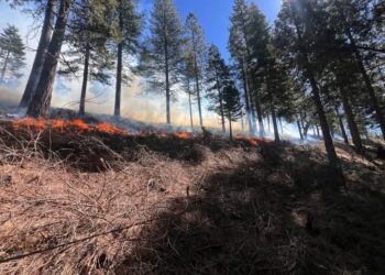 Prescribed Burn Set for April 18 Near Omo Ranch to Reduce Wildfire Risk