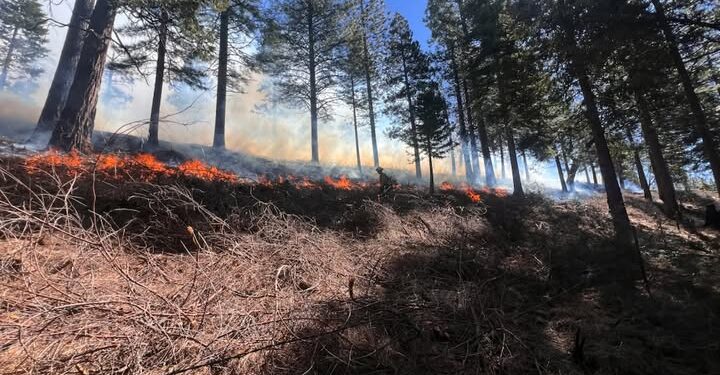 Prescribed Burn Set for April 18 Near Omo Ranch to Reduce Wildfire Risk