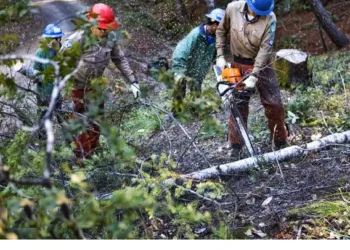 El Dorado County Awaits State Guidance on Emergency Proclamation for Wildfire Prevention