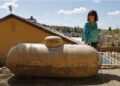 Propane Tank Costs El Dorado Hills Woman Her Home Insurance Coverage
