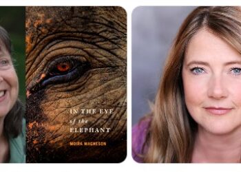 Epic Evening of Poetry and Prose at Switchboard Gallery in Placerville