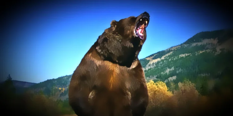 Wildlife Threats Rising in El Dorado County: Cougars, Wolves, and Grizzly Proposals Spark Alarm