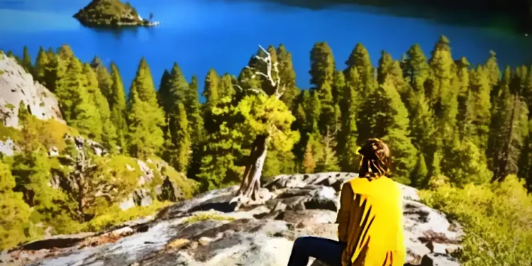 Children of the Ridge: A Poetic Journey Through El Dorado County