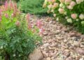 Fire-Resistant Landscaping Can Help Save Homes During California Wildfire Season