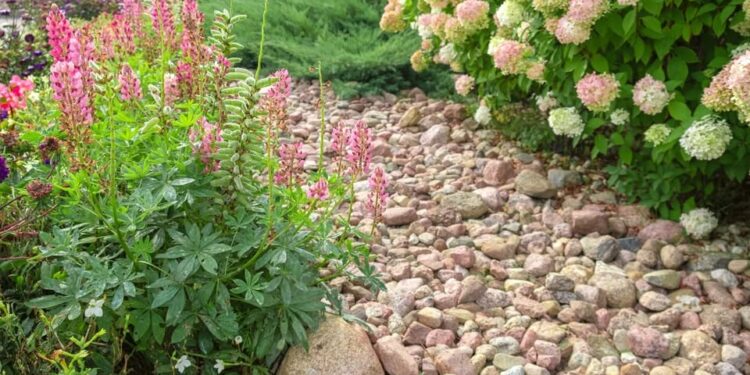 Fire-Resistant Landscaping Can Help Save Homes During California Wildfire Season