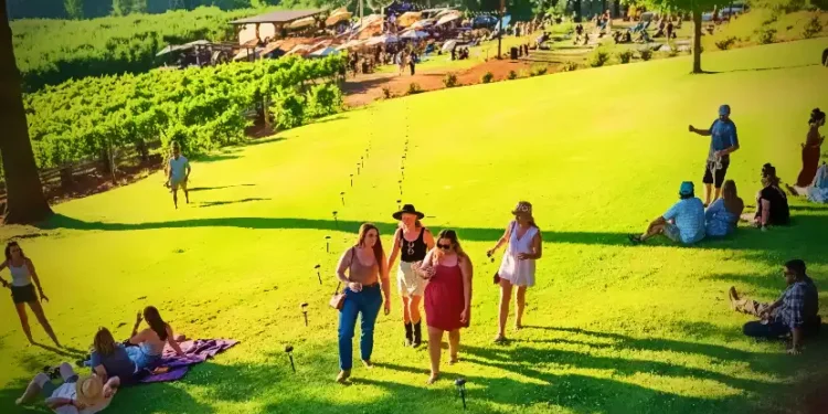 Edio Vineyards Reinvents Wine Club Model to Attract Younger Generations