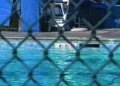 Placerville Aquatic Center to Cut Pool Hours in July Amid Budget Shortfall