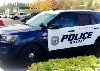 DUI, Assault, Theft and False ID: Five Arrested by Placerville PD on June 10