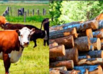 “Getting Started with Ranching” Workshop Offers Practical Path to Livestock Success in El Dorado County