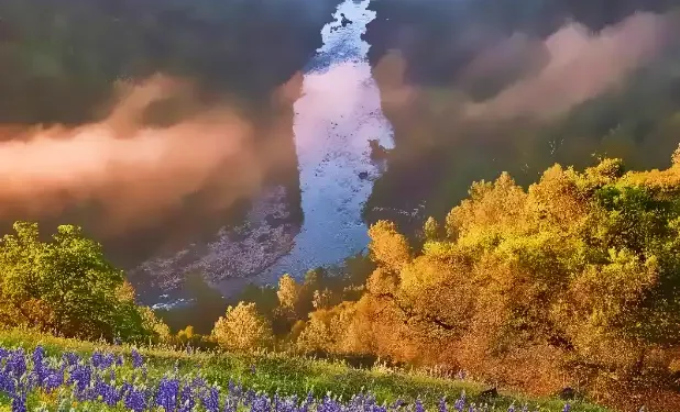 El Dorado County Unveils $1.04 Billion Budget Proposal, Prioritizes Savings and Critical Services