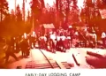 How Logging Built El Dorado County: The Untold Story of ‘Green Gold’ in the Sierra