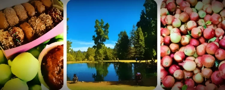 Apple Hill Opens Saturday: Growers Hail Best Apple Crop in Decades