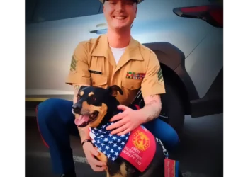 El Dorado Hills Therapy Dog Mayzie Nominated for National First Responder Paws Award; Voting Sept. 3–12