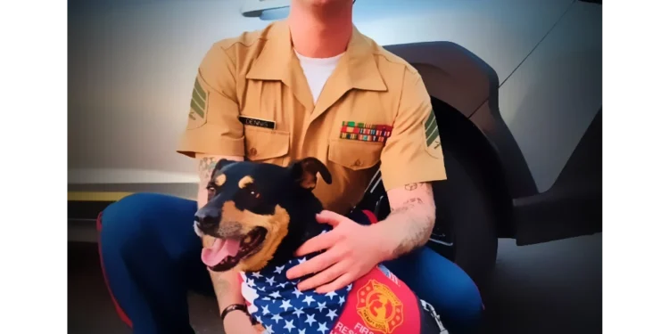 El Dorado Hills Therapy Dog Mayzie Nominated for National First Responder Paws Award; Voting Sept. 3–12