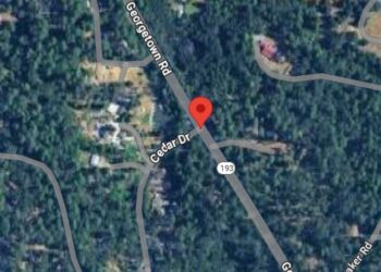 Georgetown Man Killed in Single-Vehicle Rollover on Highway 193