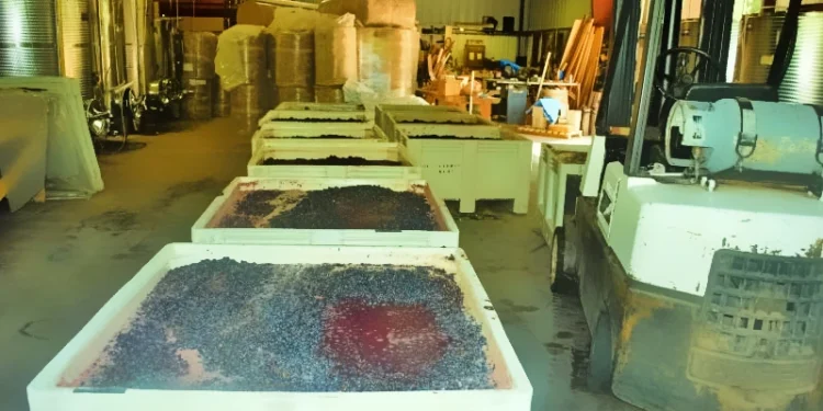 DiVittorio Winery Closing After 25 Years in Camino