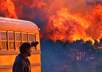 The Lost Bus Hits Placerville Cinema Sept. 25–Oct. 1: A Heroic Camp Fire Story for One Week Only