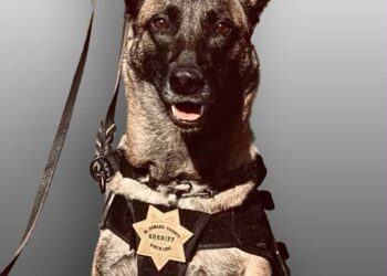 El Dorado County Rallies to Protect K9 Officer Evi With Custom Safety Vest Fundraiser