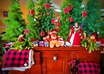 Re:Visions reopens in Cameron Park — holiday makeover sends 100% of sales to BBBSNS