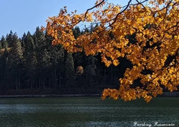 EID moves quickly to replace failing Reservoir 1 liner and floating cover in Pollock Pines