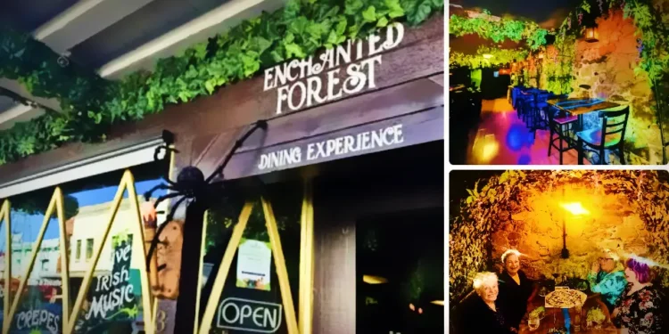 Enchanted Forest Dining Experience in Placerville: Magical Dining, Fully OPEN & Lease Extended