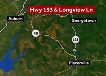 Fatal crash on Highway 193: Pickup driver dies after striking tree near Longview Lane