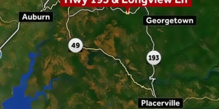 Fatal crash on Highway 193: Pickup driver dies after striking tree near Longview Lane