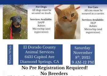 Free Pet Vaccine & Microchip Clinic — El Dorado County, Nov. 8