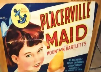 Placerville Fruit Growers Association: From Rail-Era Packing Giant to Modern Farm Co-op