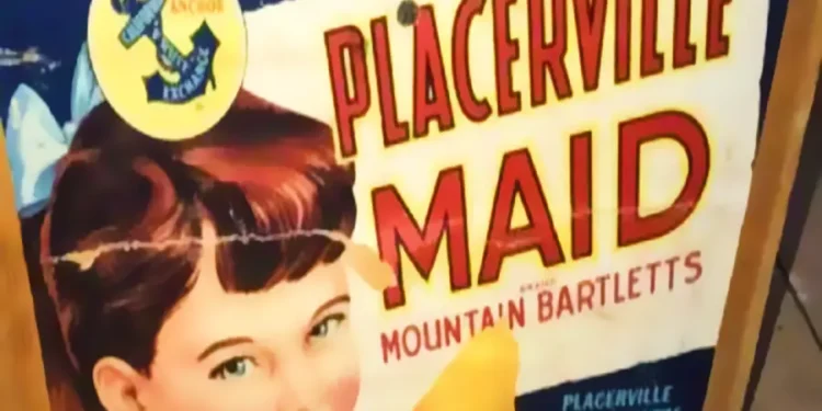 Placerville Fruit Growers Association: From Rail-Era Packing Giant to Modern Farm Co-op