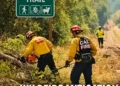 CAL FIRE, El Dorado County Launch Wildfire Safety and Fuel Reduction Project on Unpaved El Dorado Trail