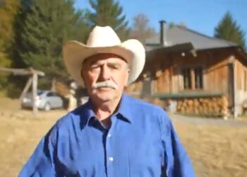 Dave Stamey Georgetown concert