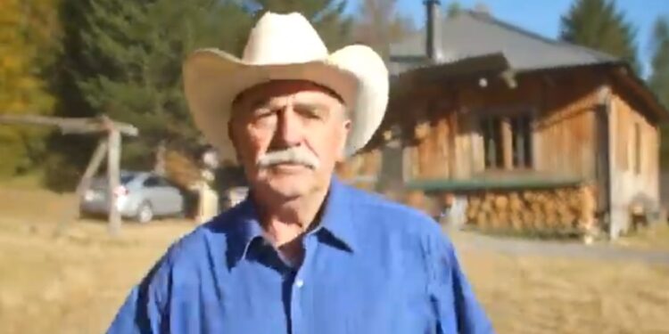 Dave Stamey Georgetown concert