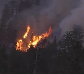 Point Fire Reported Sunday in El Dorado County; Cause Under Investigation