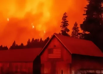 FEMA Backlog Stalls Wildfire Prevention Project in Placerville Three Years After Caldor Fire